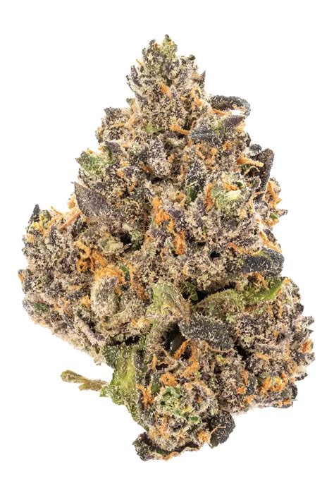 Coco Chanel Weed Strain Information 